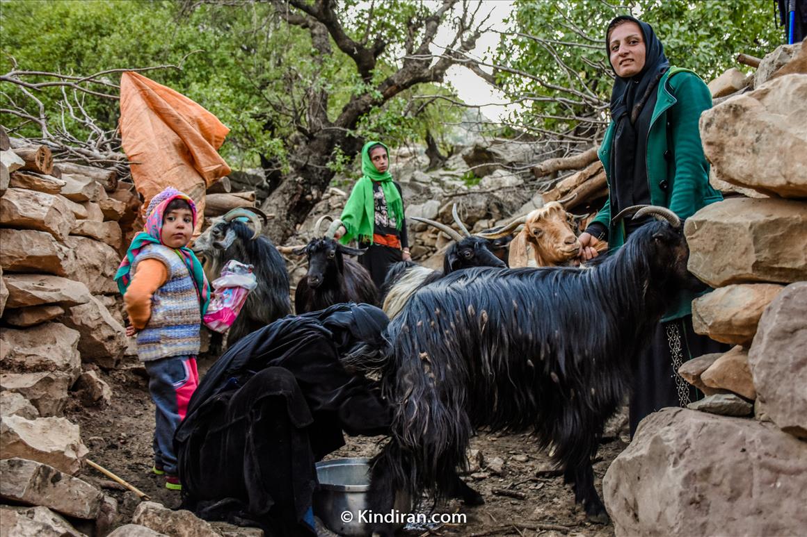 Bakhtiari nomads