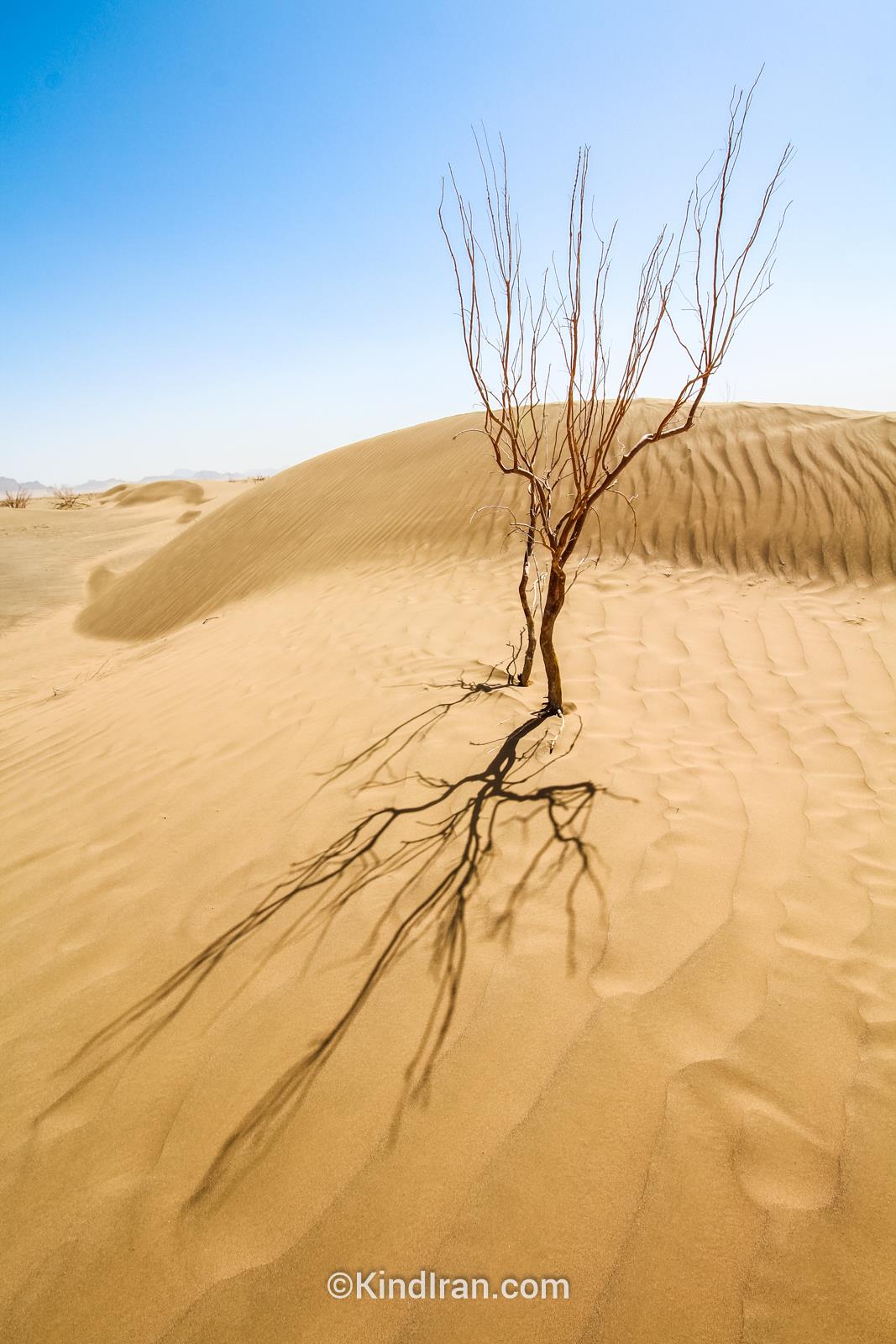 Desert Khur to Tabas