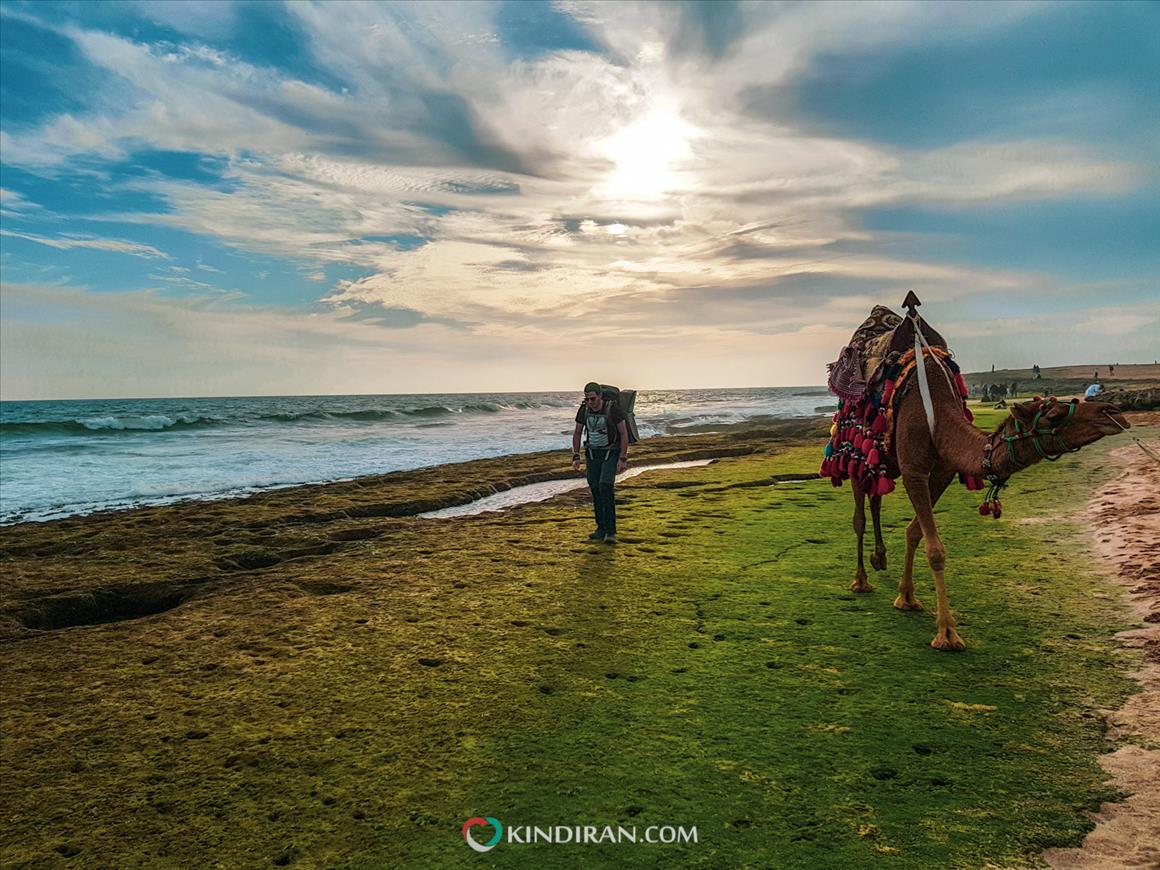شتر سواری  و قدم زدن در ساحل دریا بزرگ چابهار