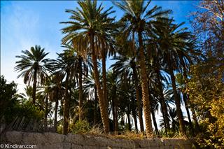 Chehar farsakh village