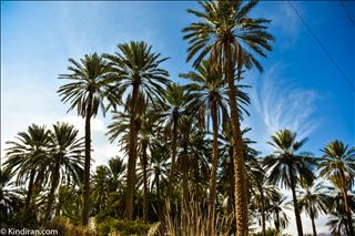 Chehar farsakh village