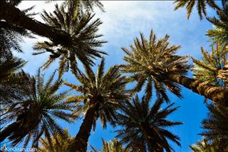 Chehar farsakh village