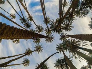 Chehar farsakh village