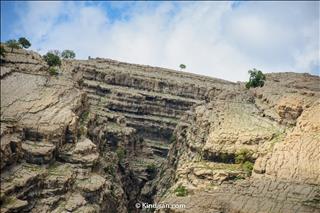 Lonely Tree on the Rocks