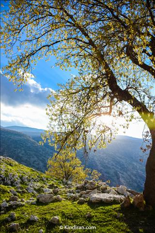 Shevi Waterfall's Road