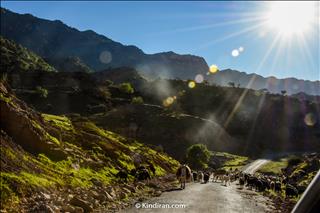 Ships And goats on the road to Shevi