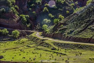 Road to Shevi Waterfall 