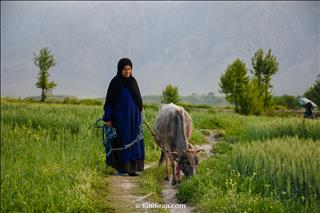 Soraya Village, Izeh