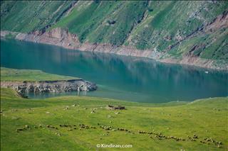 Dez River, Soosan Plain
