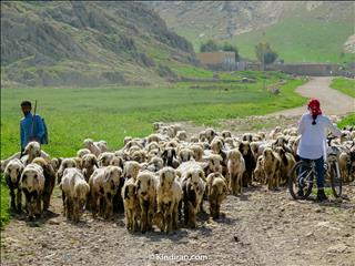 Different kind of Traffic