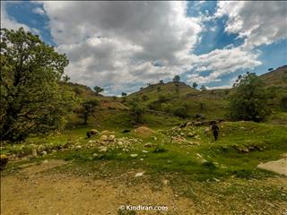 Dez River, Soosan plain