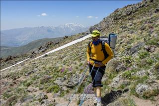 سجاد سالاروند