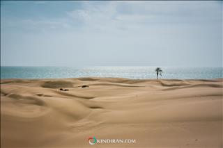 جنوب استان سیستان و بلوچستان