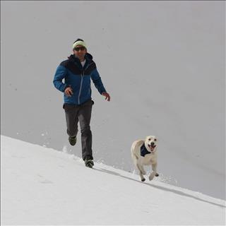 Havij Range | Tehran