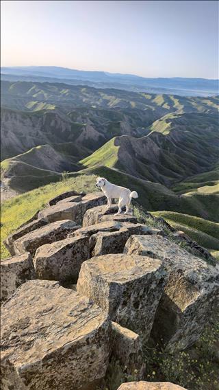 Golestan State | Torkaman Sahra