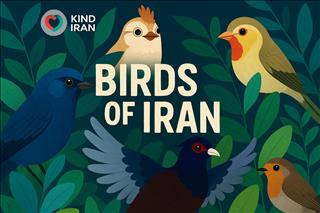 Birds of Iran: A Guide to 500 Native and Migratory Species